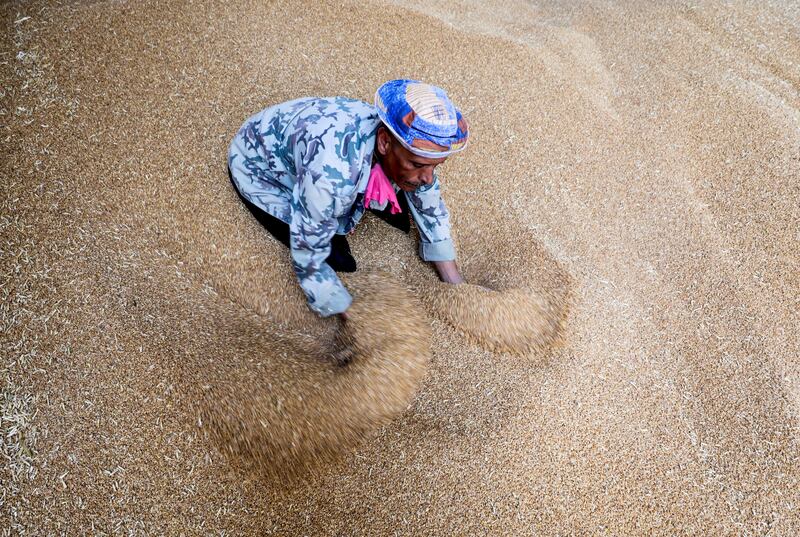 A worker at a wheat silo north of Cairo, Egypt. Reuters