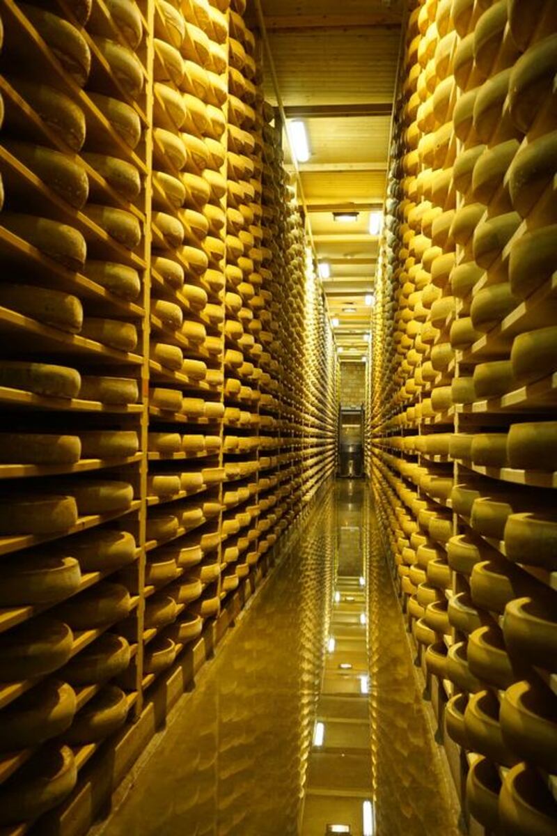Maturing cheese. Courtesy Sopexa.