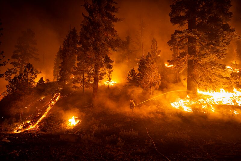 Firefighters with Cal Fire conduct an operation to contain the Dixie fire, south of Highway 44 in Lassen National Forest, in California, in August 2021.