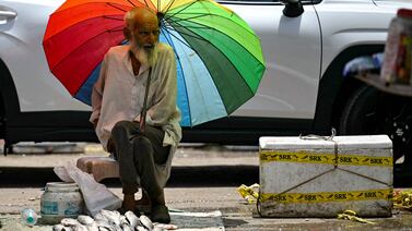 A fish seller waits for customers while shielding himself from the sun in New Delhi. AFP