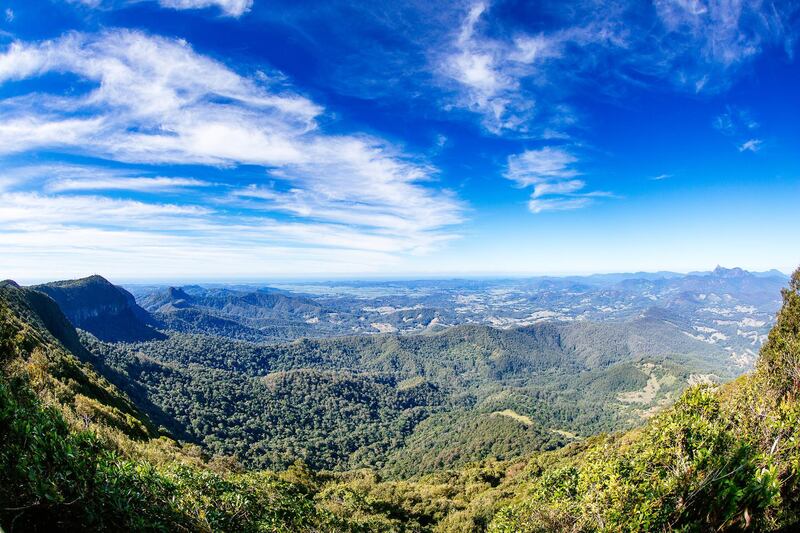 The Gold Coast Hinterland provides a completely different view of the city and it's just a 30-minute drive away.  Barberstock