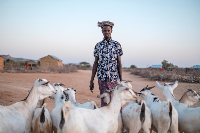 The Horn of Africa is one of the regions most vulnerable to climate change, and extreme weather events are occurring with increased frequency and intensity