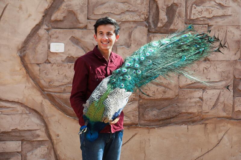 The Diab family has been raising and caring for wild animals and birds on their properties in Libya, for a couple of generations. Years of political upheaval have not deterred them from their work. In the Tajoura suburb of Tripoli, Jihad Diab holds one of the farm's peacocks. Reuters