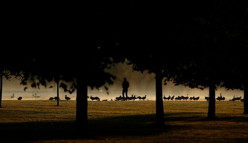 Mist, sunrise and waterfowl at the Round Pond near Kensington Palace in London. Alastair Grant / AP Photo