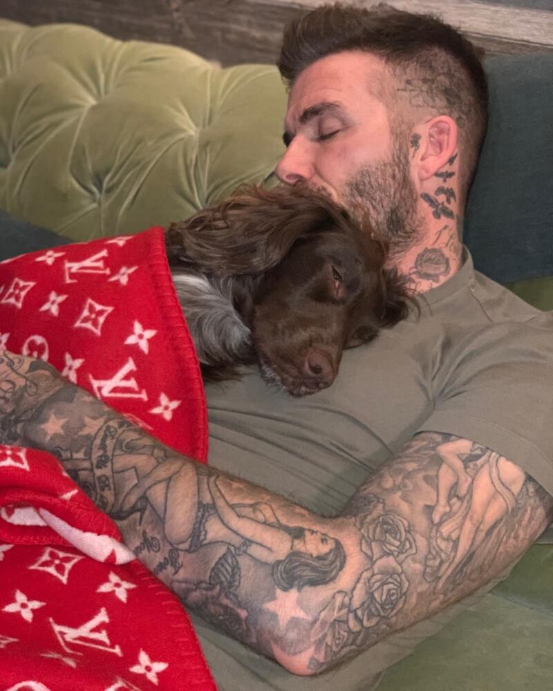 Victoria Beckham shared this image of her dog Olive sleeping with husband David.  Victoria Beckham / Instagram 