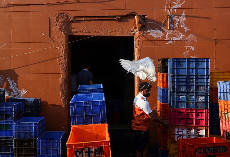 A crane swoops over a man unloading containers of fish at a market in Mumbai, India. Reuters