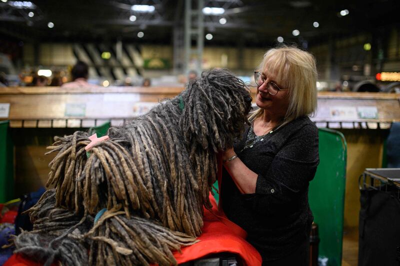 A woman cuddles her Hungarian puli. AFP