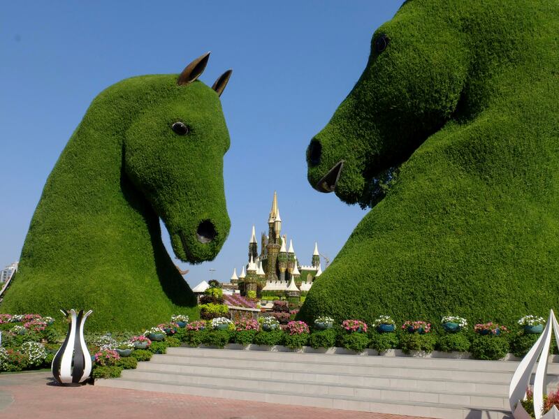 Striking horticultural horse busts. 