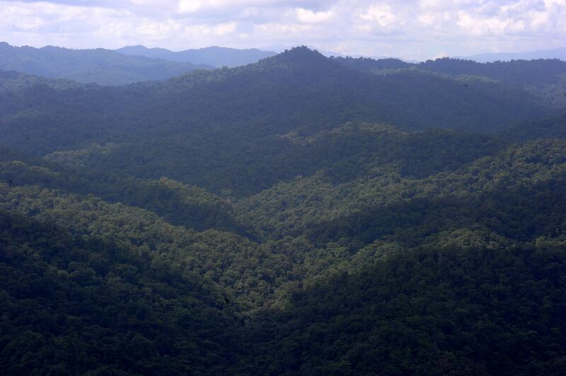 The Rio Platano biosphere reserve in La Mosquitia, Honduras, where the government has begun to evict people deforesting land declared a World Heritage by Unesco in 1980. AFP