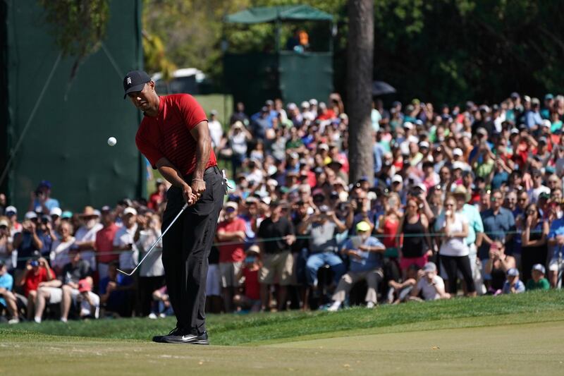 Mar 11, 2018; Palm Harbor, FL, USA; Tiger Woods chips onto the green on the 4th during the final round of the Valspar Championship golf tournament at Innisbrook Resort - Copperhead Course. Mandatory Credit: Jasen Vinlove-USA TODAY Sports