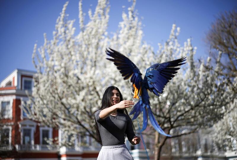 A woman trains her pet parrot in Primrose Hill, London, following the easing of lockdown restrictions in England. Reuters