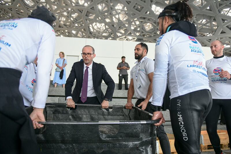 Manuel Rabate, director of Louvre Abu Dhabi, helping to release the turtles into the lagoon