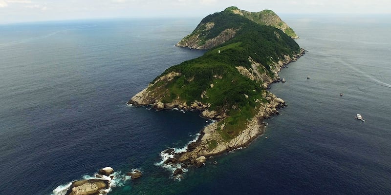 Ilha da Queimada Grande (Snake Island) in Brazil is thought to be home to 430,000 snakes, which have overrun the island since it was abandoned in the 1920s. 