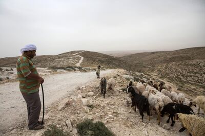 Palestinian shepherd Yasser Yassir Hamamdi,48, with his son as they take their flock of sheep and goats out to graze by the isolated village of Arakeez in the West Bank's south Hebron Hills .(Photo by Heidi Levine for The National 