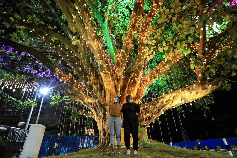 epa08913506 Kenyan women (C) wearing face masks pose for a photo next to an iconic century-old fig tree decorated with lights during New Year eve, in Westlands district of Nairobi, Kenya, 31 December 2020. Security measures have been stepped up across Kenya to restrain celebrations or streets gathering as they enforce a nationwide COVID-19 curfew from 10pm to 4am as coronavirus infections surged.  EPA/Daniel Irungu