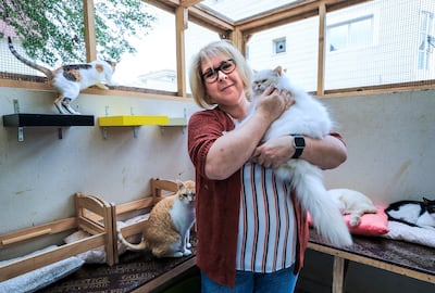 Abu Dhabi, U.A.E., February 13, 2019. Emma Button has approximately 50 cat rescues living with her in her home - many of them came to her as kittens or were sick. She even got a bigger place to accommodate them all. 
Victor Besa/The National
Section:  NA
Reporter:  Gillian Duncan