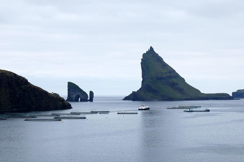 A picture taken on June 6, 2018 shows a fish farm in the Sorvagsfjorour fjord on the west-side of the island of Vagar, one of the Faroe Islands in this Atlantic ocean archipelago nation. Located more than 1,100 kilometres (more than 680 miles) northwest of powerhouse Copenhagen, the Faroe Islands have since 1948 had their own white, blue and red flag with an offset cross, their own language originating from the Viking's Old Norse and institutions and culture.  / AFP / Pierre-Henry DESHAYES
