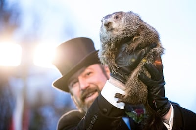 PUNXSUTAWNEY, PA - FEBRUARY 02: Punxsutawney Phil is held up by his handler for the crowd to see during the ceremonies for Groundhog day on February 2, 2018 in Punxsutawney, Pennsylvania. Phil predicted six more weeks of winter after seeing his shadow. Groundhog Day is a popular tradition in the United States and Canada where people await the sunrise and the groundhog's exit from his winter den. If Punxsutawney Phil sees his shadow he regards it as an omen of six more weeks of bad weather and returns to his den. Early spring arrives if he does not see his shadow, causing Phil to remain above ground. (Photo by Brett Carlsen/Getty Images)