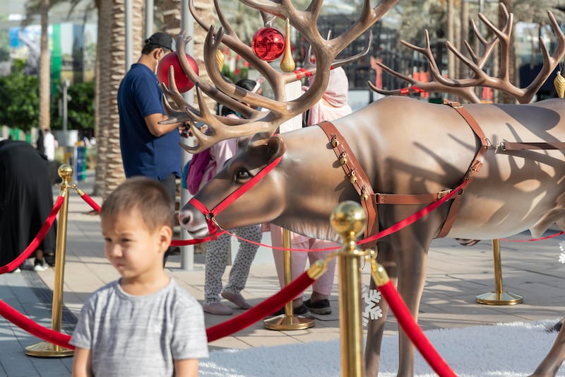 A young visitor gets his picture taken with one of Santa's reindeer.