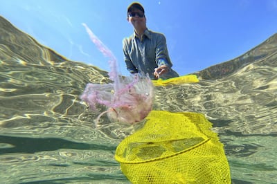 A man catches a jellyfish in waters off a beach on the French Mediterranean island of Corsica. AFP