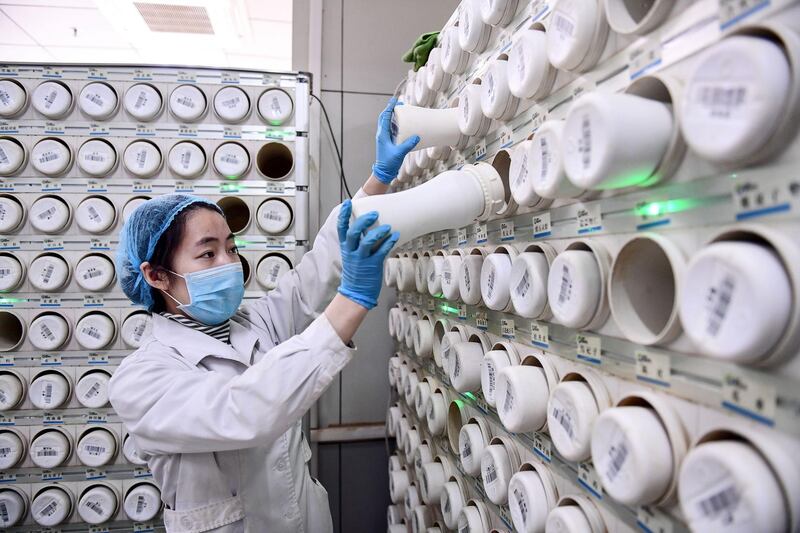 A medical worker producing traditional Chinese medicine electuary at a hospital in Shenyang in China's northeastern Liaoning province.  AFP