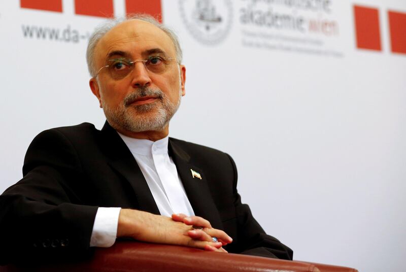 FILE PHOTO: Head of the Iranian Atomic Energy Organization Ali Akbar Salehi attends the lecture "Iran after the agreement: Hopes & Concerns" in Vienna, Austria, September 28, 2016.   REUTERS/Leonhard Foeger/File Photo