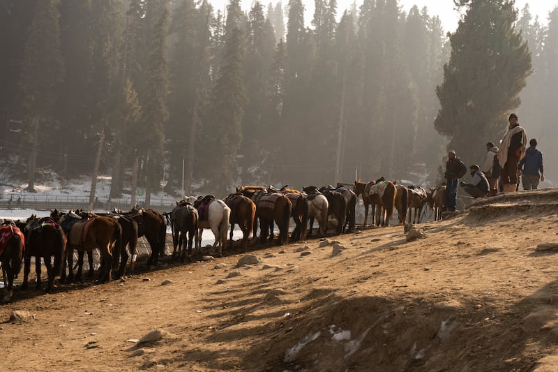 Horses line up with few customers for rides in Gulmarg, Kashmir. Wasim Nabi for The National