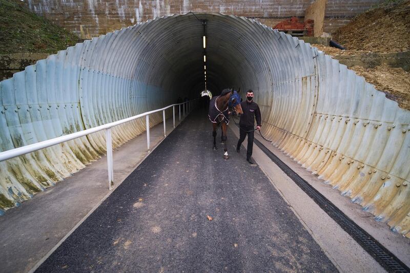 A general view as a runner is led through the tunnel from the stables to the track at Chelmsford City Racecourse in Chelmsford, England. Sporting venues around the UK remain under restrictions due to the Coronavirus Pandemic. Only owners are allowed to attend the meeting but the public must wait until further restrictions are lifted. Getty Images