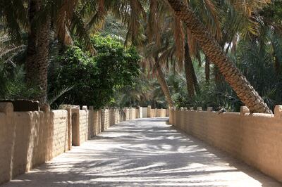 AL AIN , UNITED ARAB EMIRATES Ð Mar 12 , 2015 : View of the Al Ain Oasis in Al Mutawaa area in Al Ain. ( Pawan Singh / The National ) For Stock *** Local Caption ***  PS1203- OASIS19.jpg