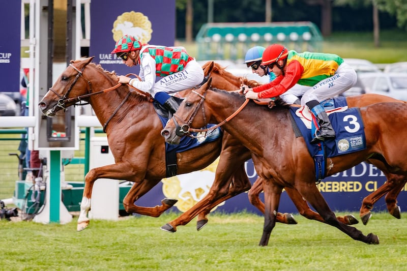 Mandatory Credit: Photo by Zuzanna Lupa/Racing Fotos/Shutterstock (9670032cs)
Shahm (M. Barzalona) wins The President of the UAE Cup Coupe d'Europe des Chevaux Arabes Gr. 1 PA, in Paris Longchamp, France, ,
Horse Racing - 13 May 2018