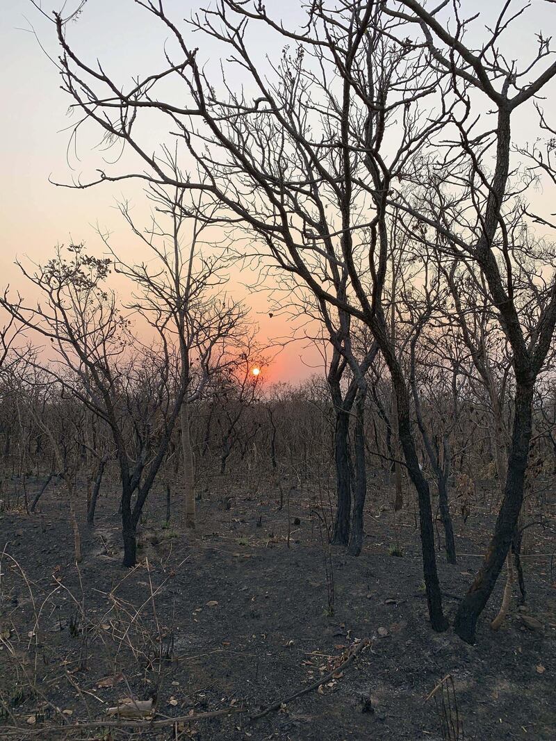 A view of an area that has been scorched by fire in the state of Mato Grosso, Brazil.  EPA