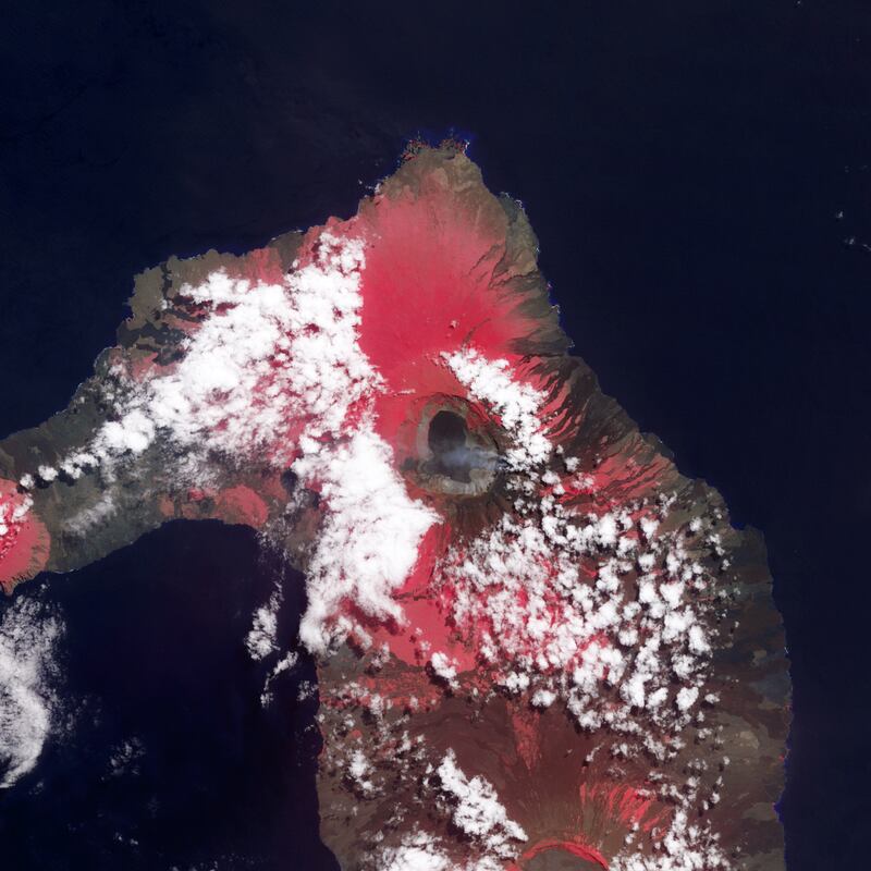 13.	The highest volcano in the Galapagos Islands erupted for the first time in 33 years in 2015. An image captured by the Terra satellite shows volcanic ash and gases about 15 km high. Photo: Nasa Earth Observatory