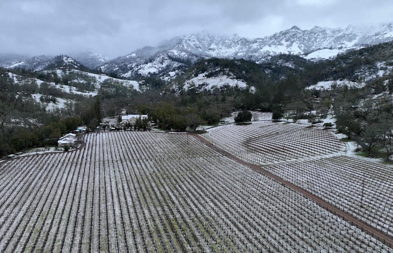 Snow covers the hills behind a vineyard. AFP