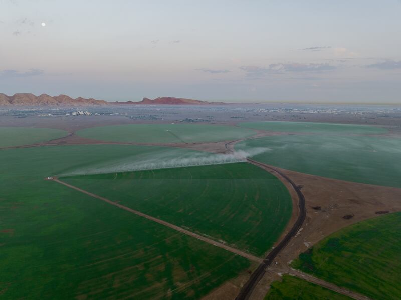 The farm was built to boost local food production, as wheat shortages affect countries across the globe