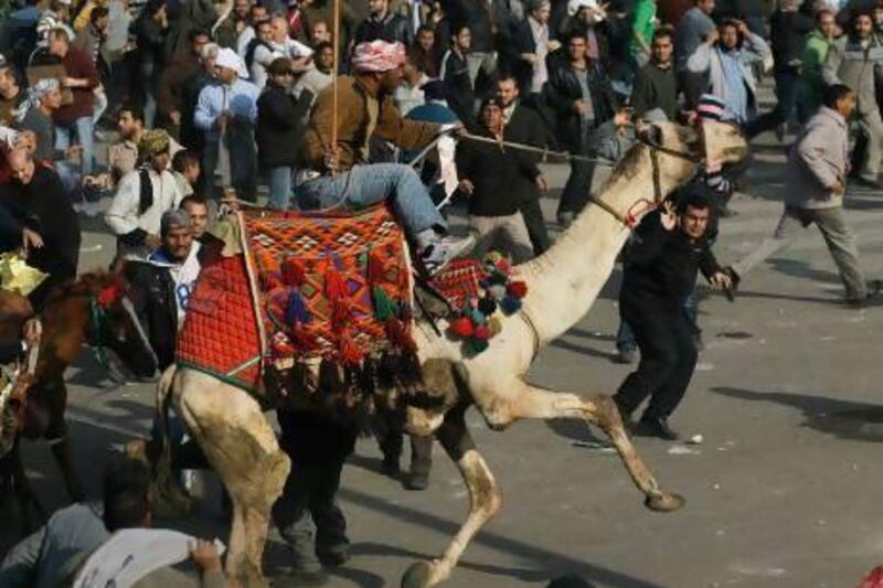 A supporter of embattled Egyptian president Hosni Mubarak rides a camel through the melee during a clash between pro-Mubarak and anti-government protesters in Tahrir Square.