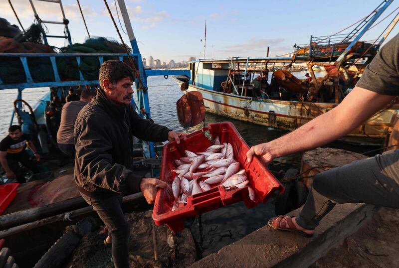 Palestinian fishermen unload their catch at Gaza City's main fishing port. AFP
