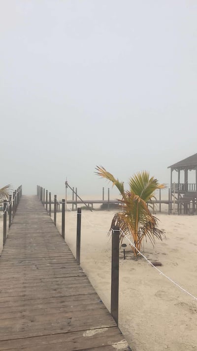 A foggy start to the day at Ras Ghurab, near Saadiyat Island. Courtesy Abdul Qader Alafeefi