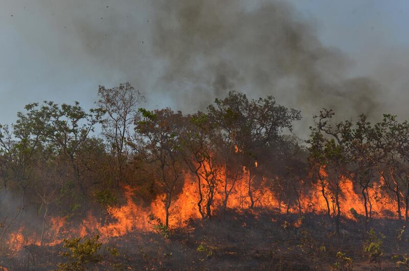 A fire burns a tract of the Amazon jungle in Agua Boa, Mato Grosso state, Brazil September 4, 2019. REUTERS/Lucas Landau