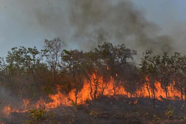 A fire burns a tract of the Amazon jungle in Brazil. REUTERS