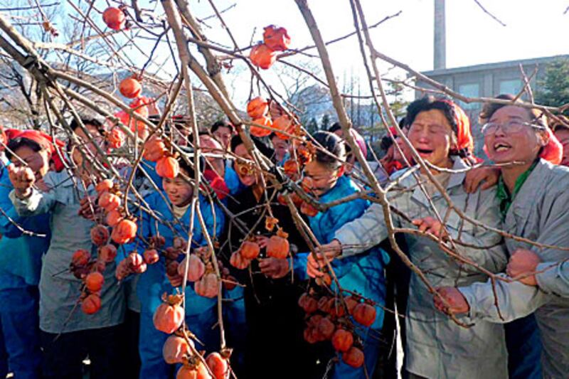 The mourning period of Kim Jong-il, the late North Korean leader, has lasted for 10 days. Experts say that this has been choreographed by the new heir to maximise his father's legacy and thus his own power.