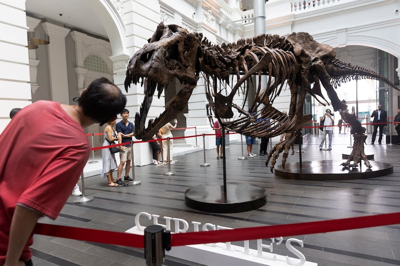 The 1,400-kilogram dinosaur is 12. 2 metres long, 4.6 metres tall and 2.1 metres wide. 