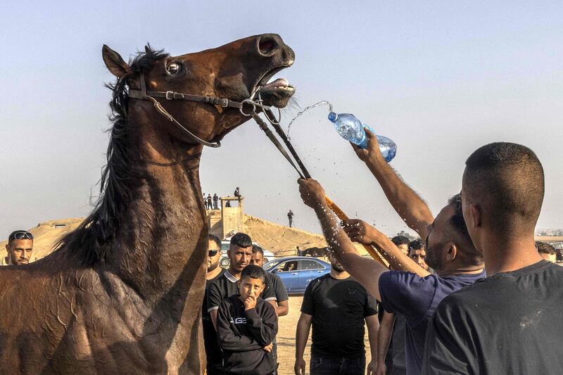 Racing in the desert is thirsty work for the horses