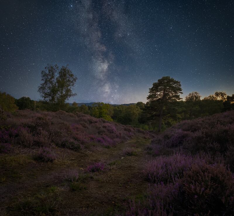 Heather and Milky Way by Carl Gough, winner of the Nature At Night category. PA