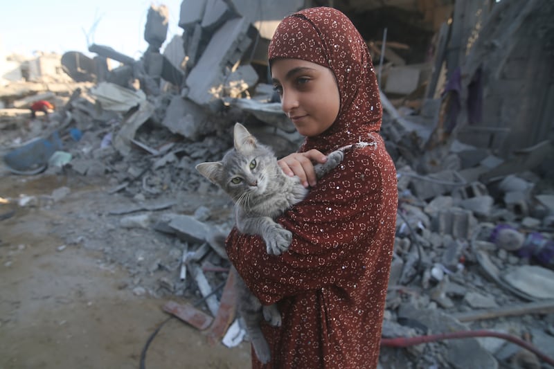 A Palestinian girl rescues her cat from the rubble of destroyed buildings after Israeli air strikes in Rafah. AP