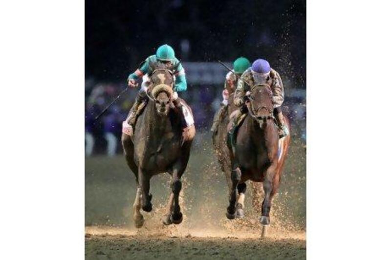 Blame, right, denied Zenyatta, left, from winning her 20th race in as many starts in the Breeders' Cup Classic in Kentucky in November. However, Zenyatta is still favourite to be named Horse of the Year. Andy Lyons / AFP