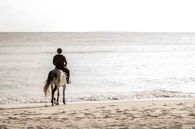 Siyam World is the first resort in the Maldives to offer horse riding for guests. Photo: Siyam World