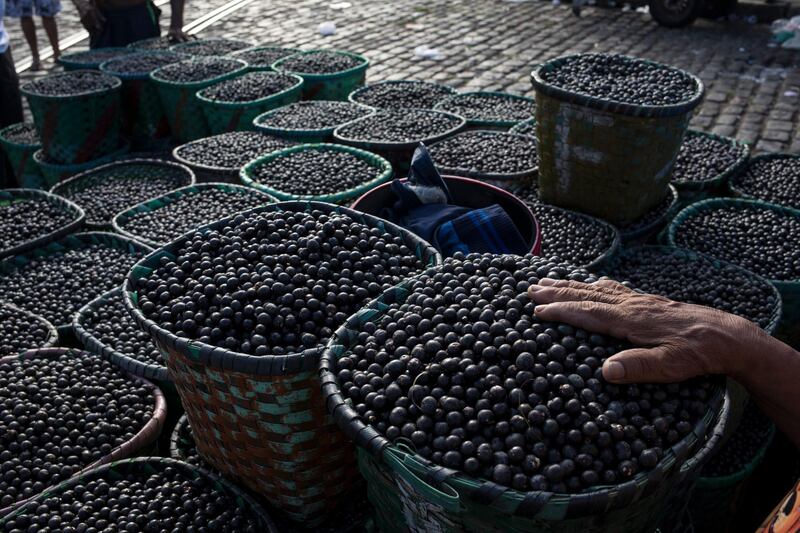 A vendor places his hand on acai berries at the Ver-o-Peso riverside market in Belém, Brazil. Belém is the epicenter for the trade of the oily purple acai that is a staple of native Amazon cuisine and a superfood. AP