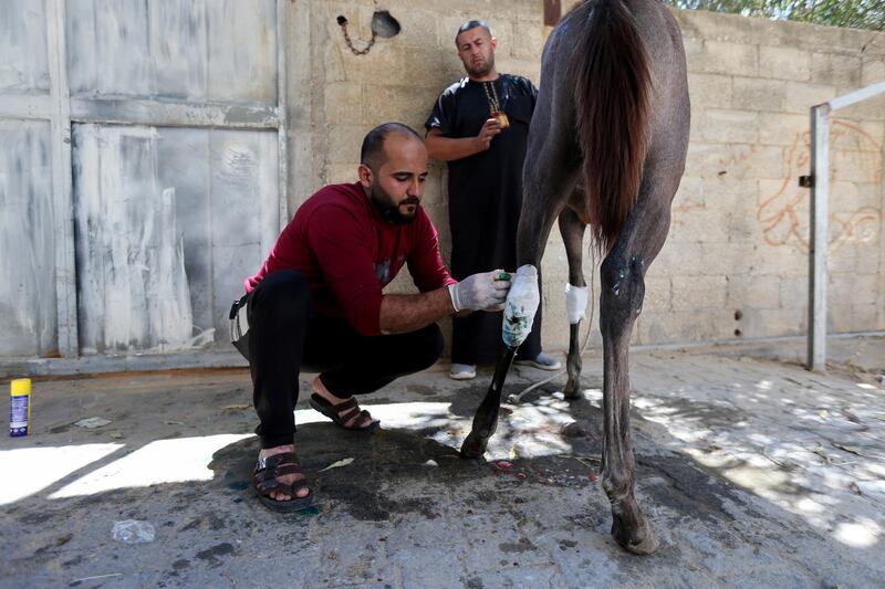 The horses were hit by shrapnel from an Israeli strike that destroyed a house near by. Reuters