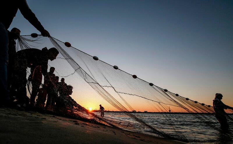 Palestinian fishermen retrieve their fishing nets back from the Mediterranean sea water at sunset in Gaza City. AFP