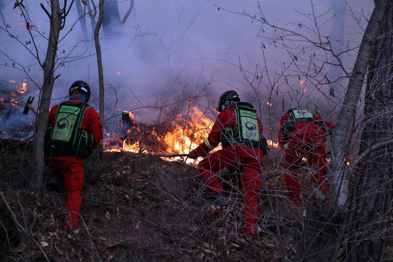 The fire started in the eastern coastal county of Uljin. EPA